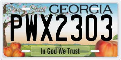 GA license plate PWX2303