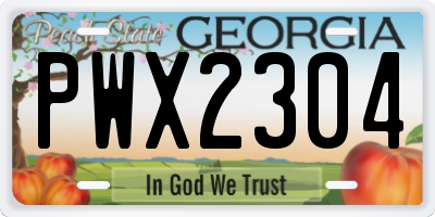 GA license plate PWX2304