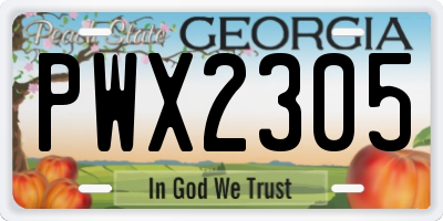 GA license plate PWX2305