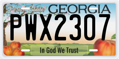 GA license plate PWX2307