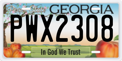 GA license plate PWX2308