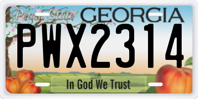 GA license plate PWX2314