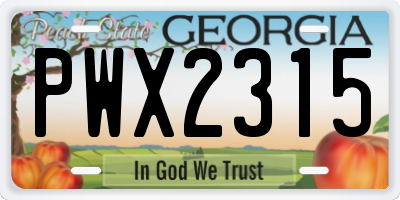 GA license plate PWX2315