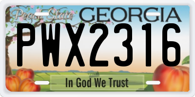 GA license plate PWX2316