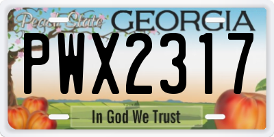 GA license plate PWX2317