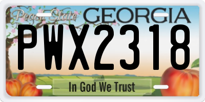 GA license plate PWX2318