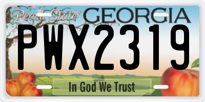 GA license plate PWX2319