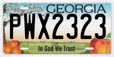 GA license plate PWX2323