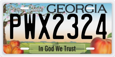 GA license plate PWX2324