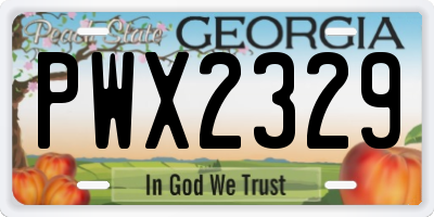 GA license plate PWX2329