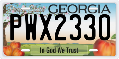 GA license plate PWX2330