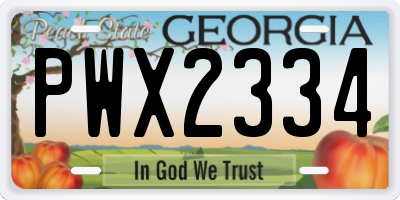 GA license plate PWX2334