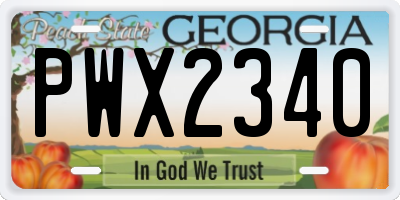 GA license plate PWX2340