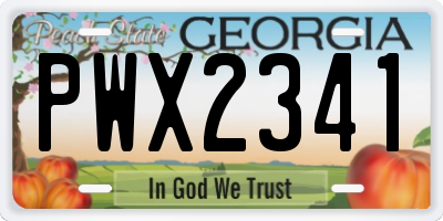 GA license plate PWX2341