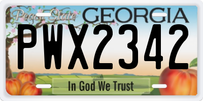 GA license plate PWX2342