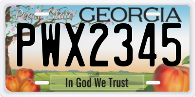 GA license plate PWX2345