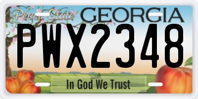 GA license plate PWX2348