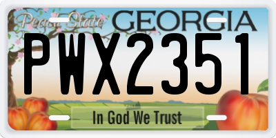 GA license plate PWX2351