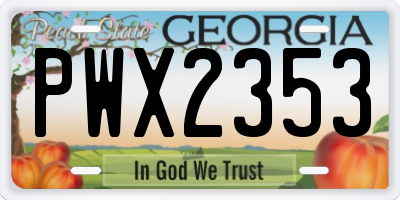 GA license plate PWX2353