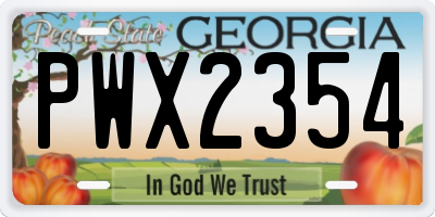 GA license plate PWX2354