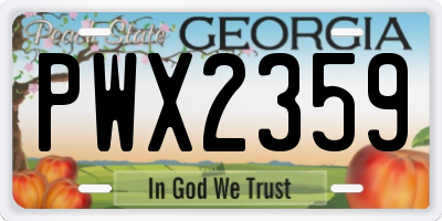 GA license plate PWX2359