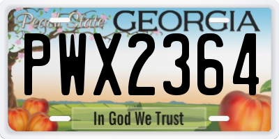GA license plate PWX2364