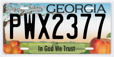 GA license plate PWX2377