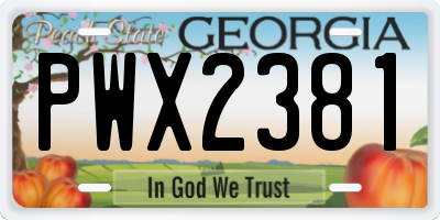 GA license plate PWX2381
