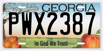 GA license plate PWX2387