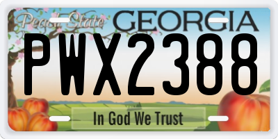 GA license plate PWX2388
