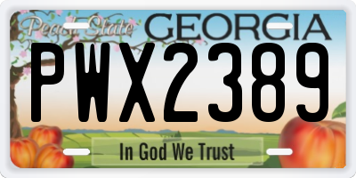 GA license plate PWX2389