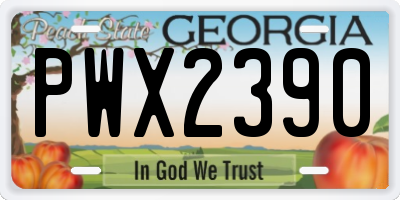 GA license plate PWX2390