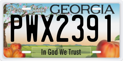 GA license plate PWX2391