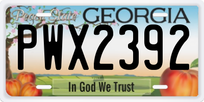 GA license plate PWX2392