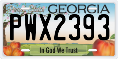 GA license plate PWX2393