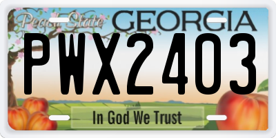 GA license plate PWX2403