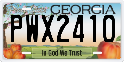 GA license plate PWX2410