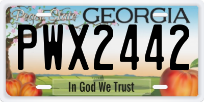 GA license plate PWX2442