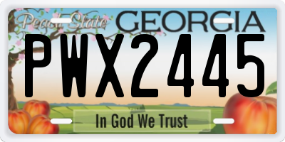 GA license plate PWX2445