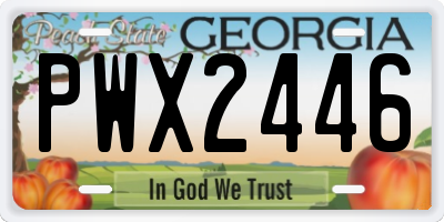 GA license plate PWX2446