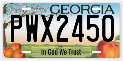 GA license plate PWX2450