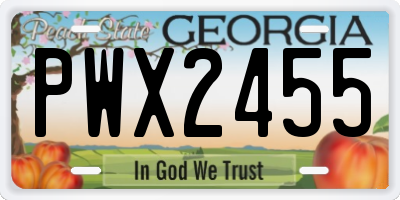 GA license plate PWX2455