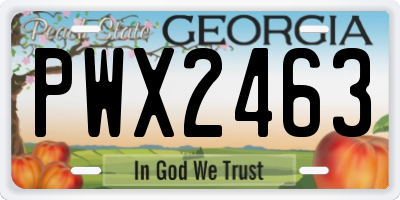 GA license plate PWX2463