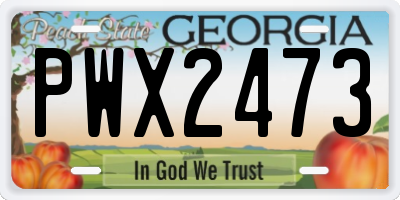 GA license plate PWX2473