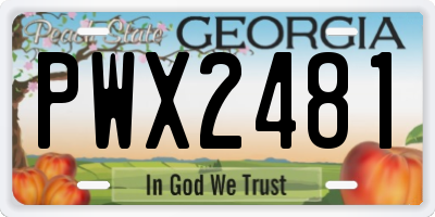GA license plate PWX2481