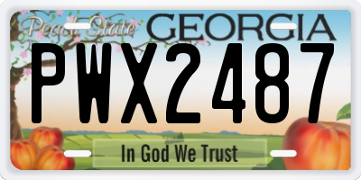 GA license plate PWX2487