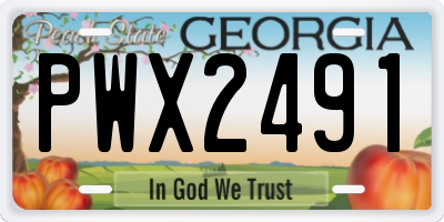 GA license plate PWX2491