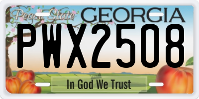GA license plate PWX2508