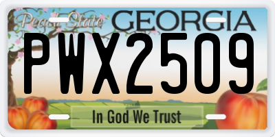GA license plate PWX2509