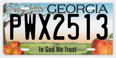 GA license plate PWX2513